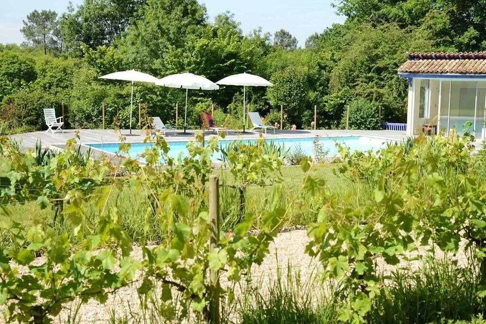 Photo of Outdoor in Saint Palais