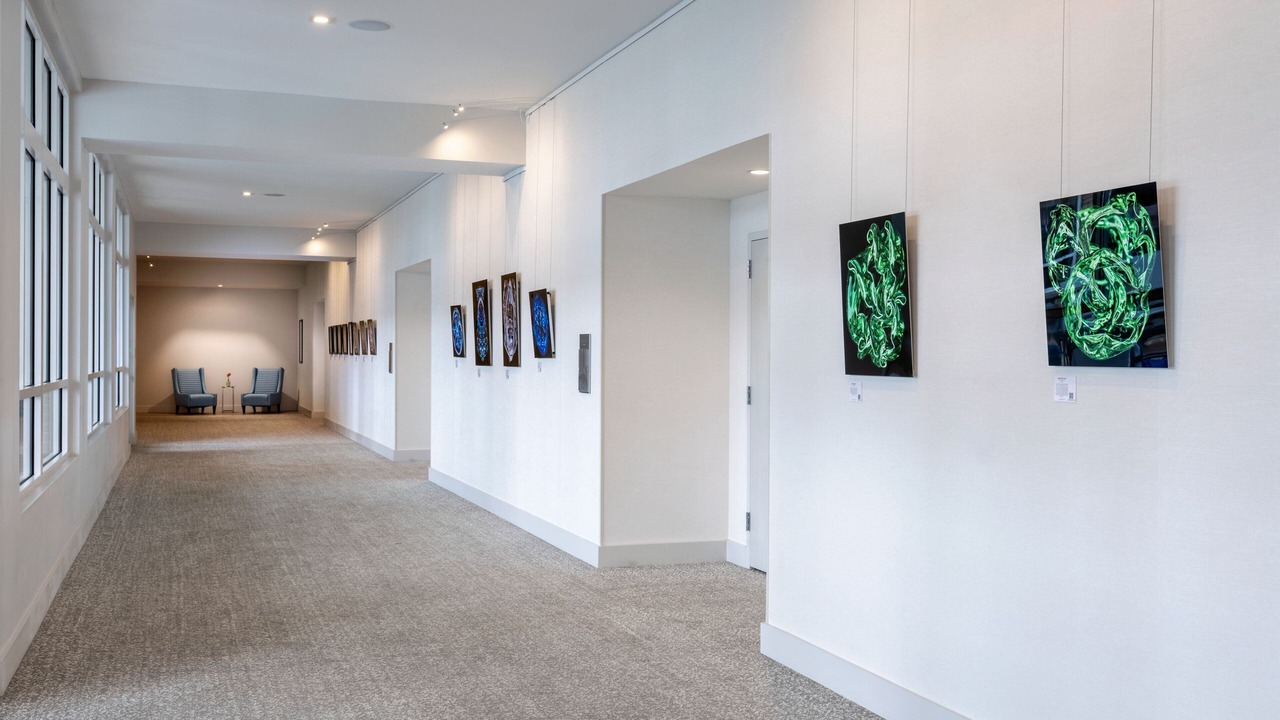 Photo of Others in Ocean Cay