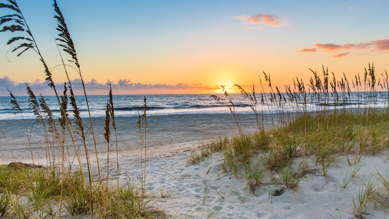 Photo of Others in Ocean Cay