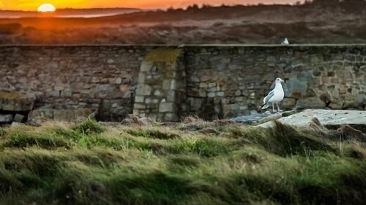 Photo of Outdoor in Louannec