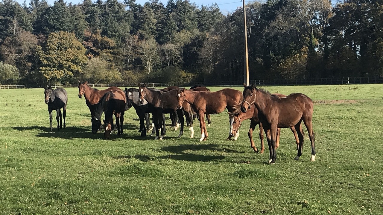 Photo of Others in Blay