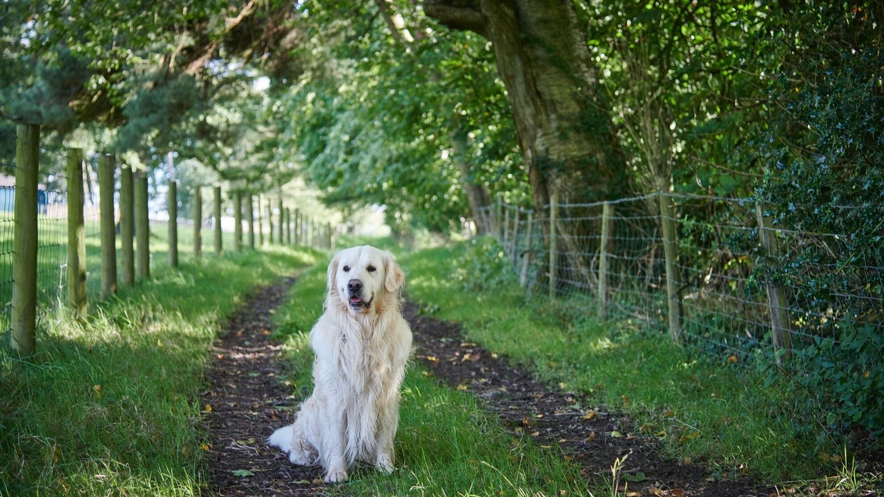 Photo of Outdoor in Natland