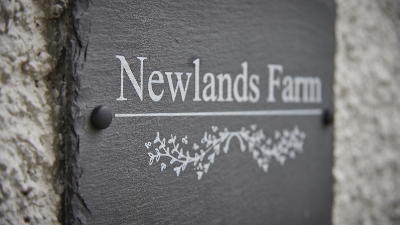 Photo of Outdoor in Natland