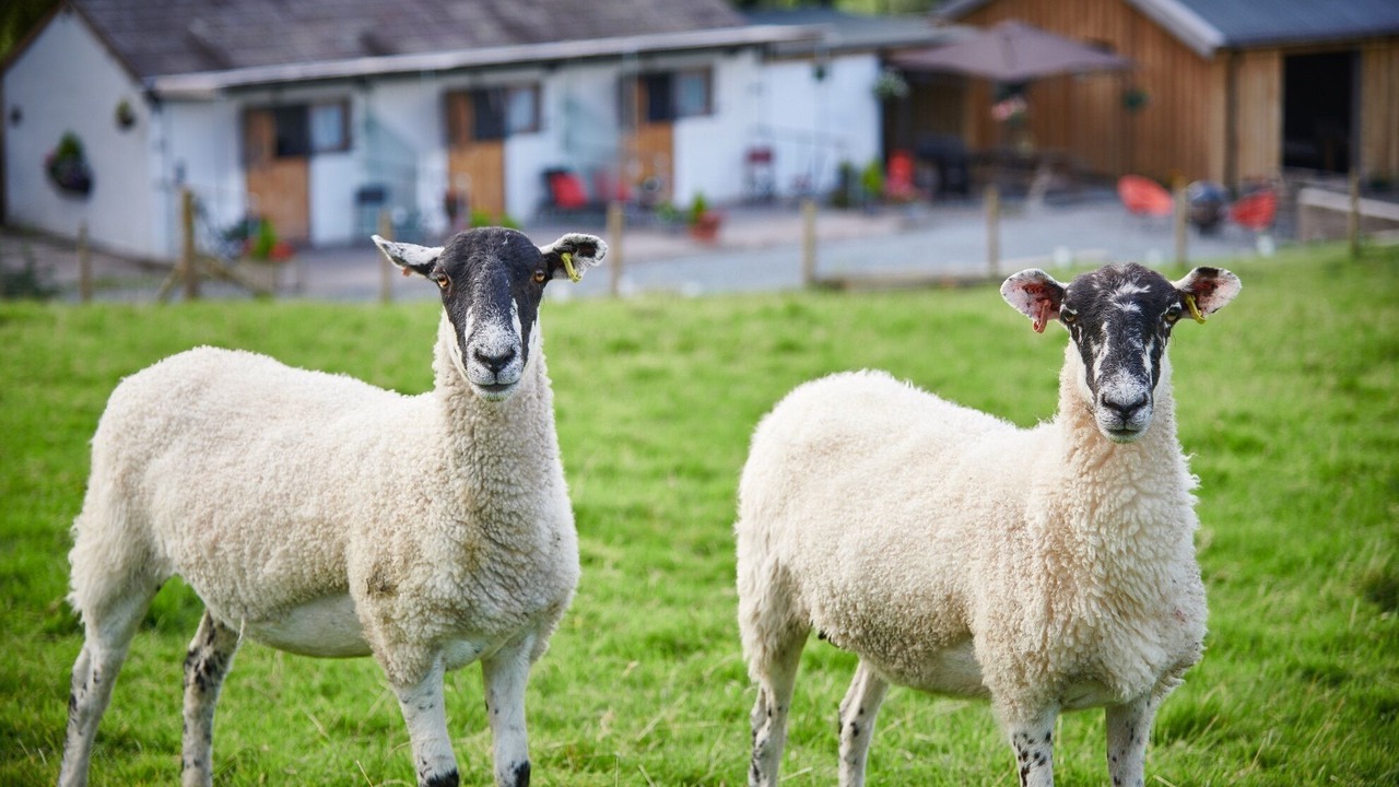 Photo of Outdoor in Natland