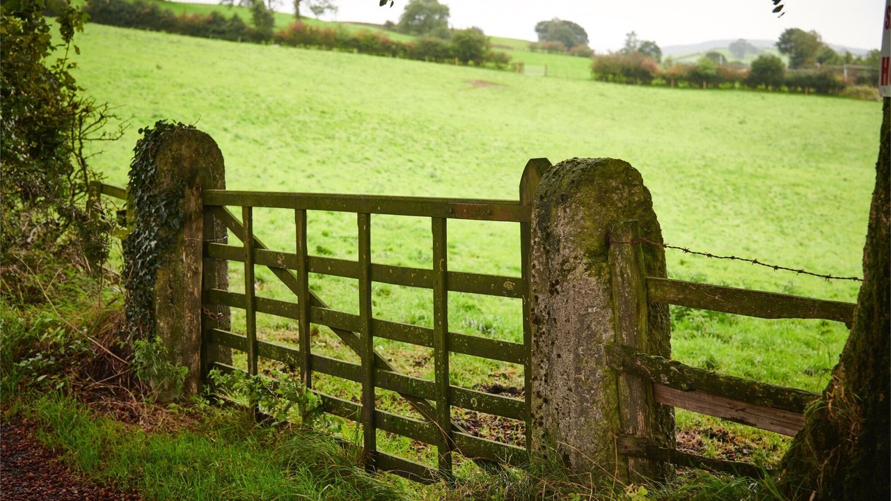 Photo of Outdoor in Natland