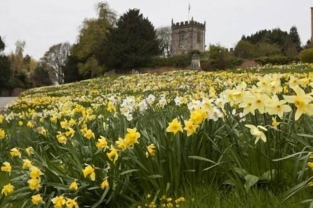 Photo of Others in Crayke