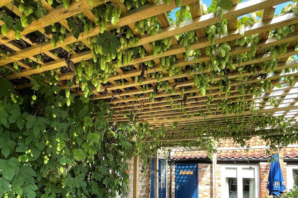 Photo of Outdoor in Crayke