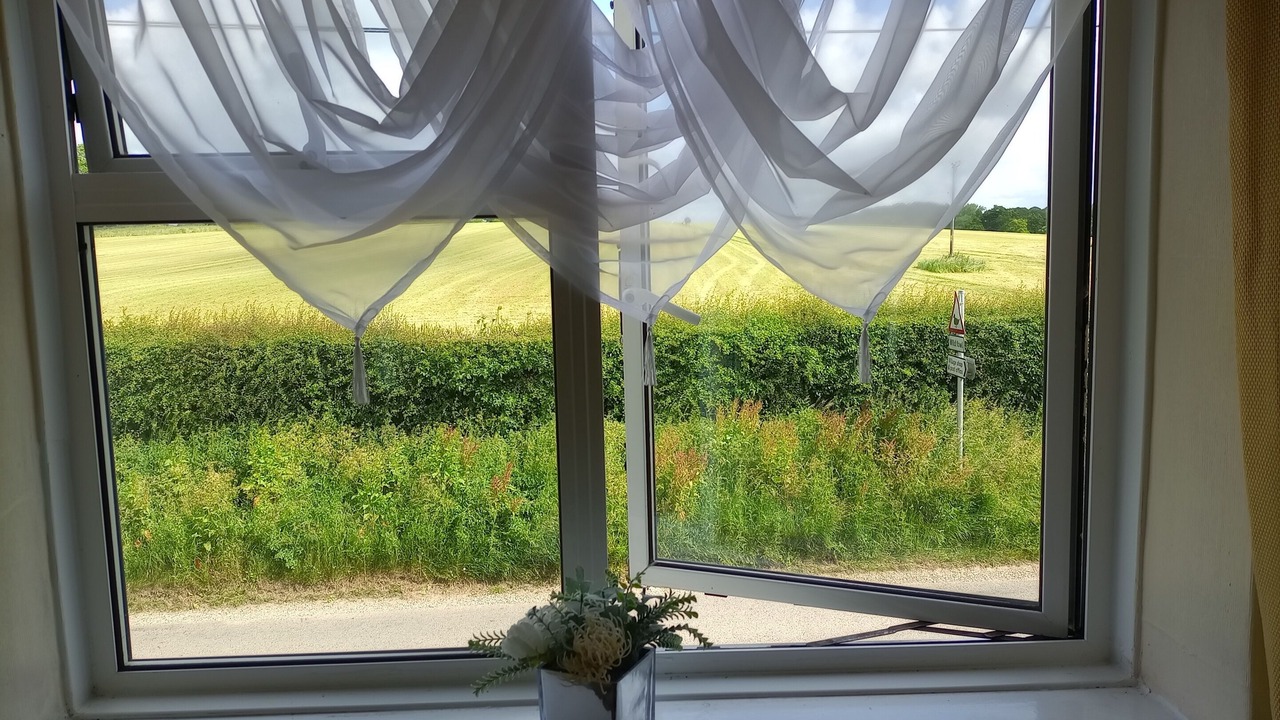 Photo of Others in East Tisted