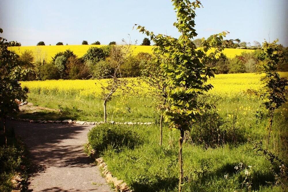 Photo of Outdoor in Ewelme