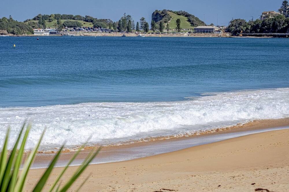 Photo of Others in Wamberal