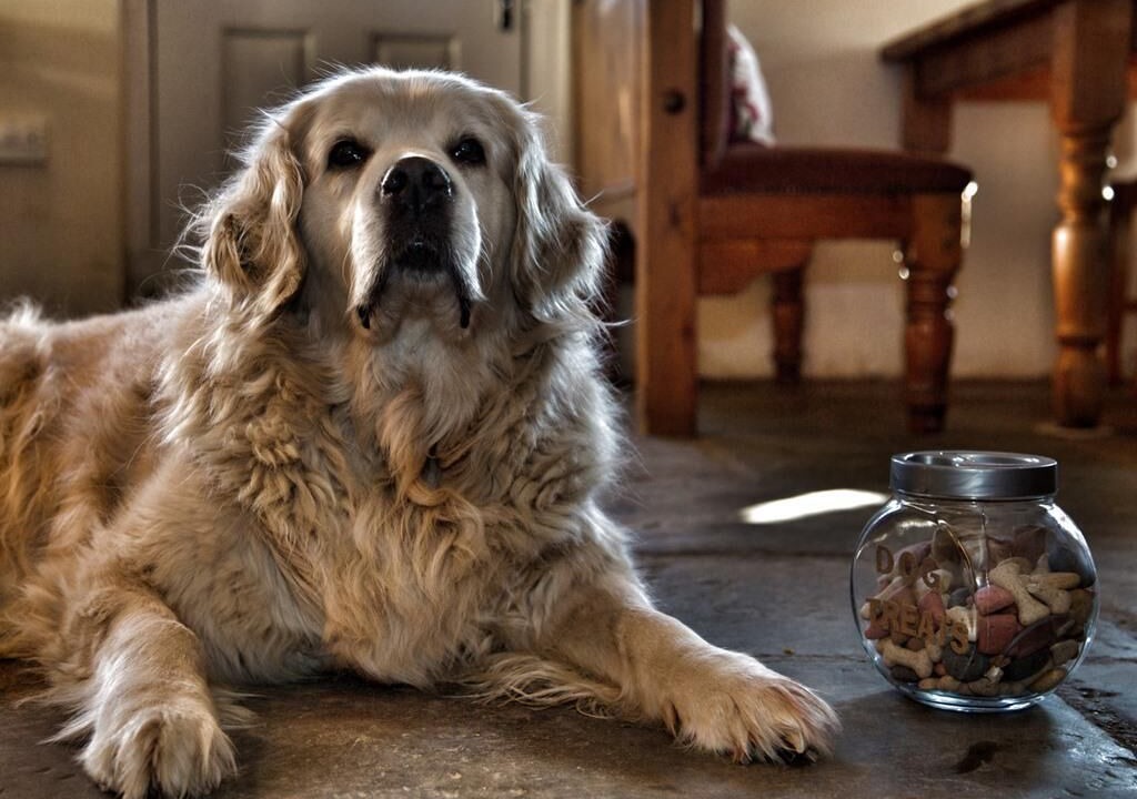 Photo of Others in Whichford