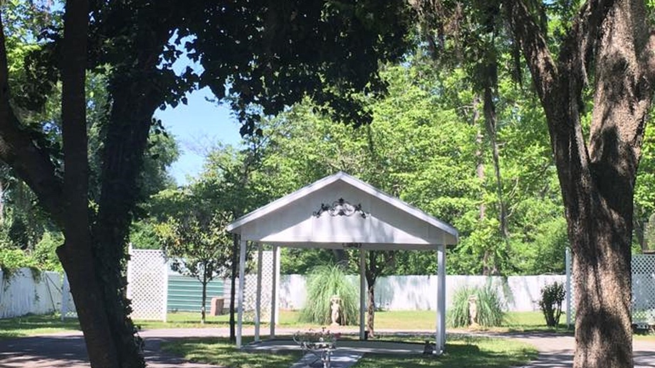 Photo of Outdoor in Bainbridge
