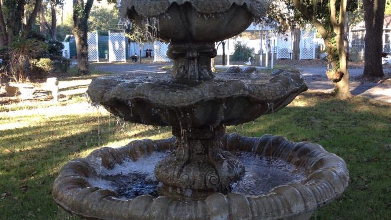 Photo of Outdoor in Bainbridge