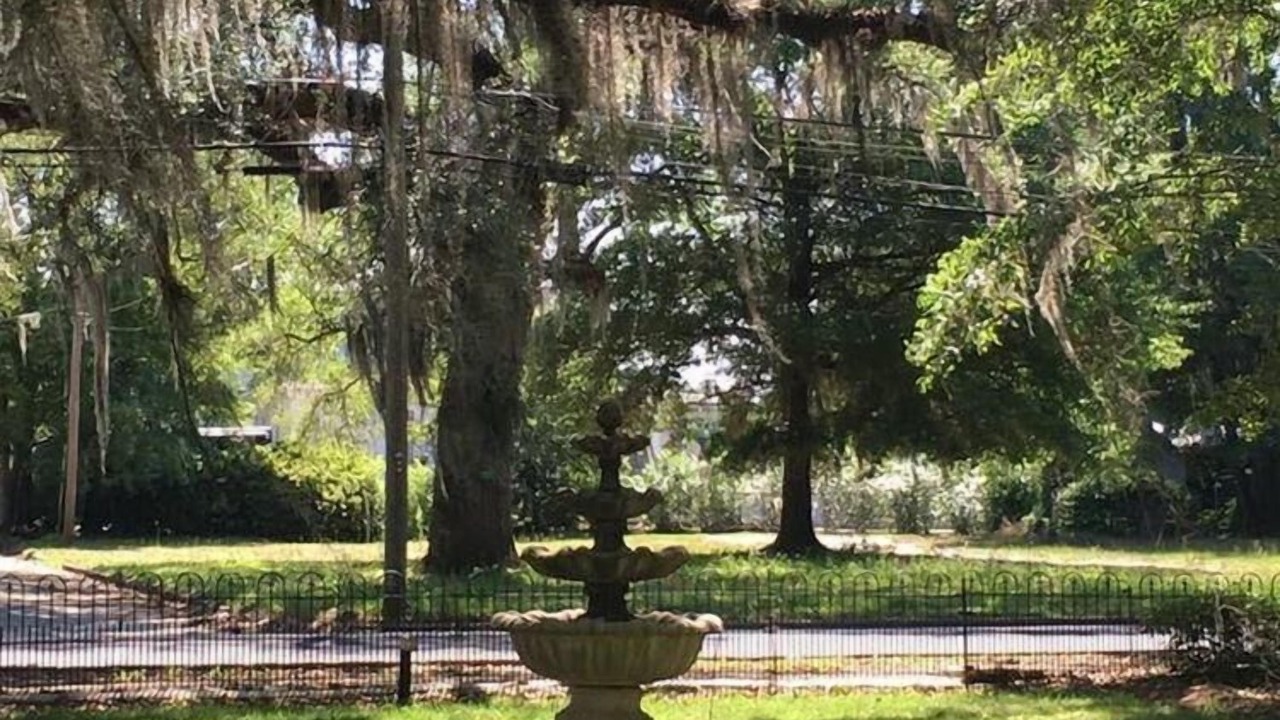 Photo of Outdoor in Bainbridge