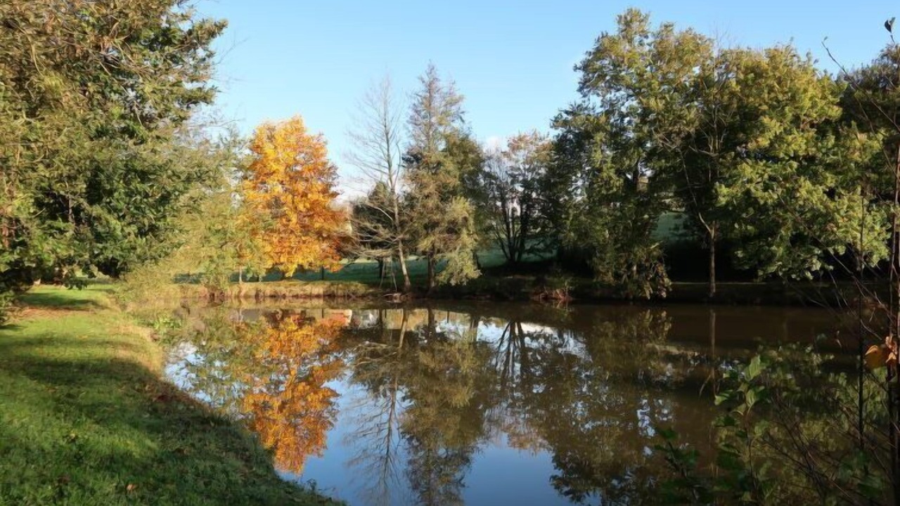 Photo of Outdoor in Saint-Ouen-La-Rouerie