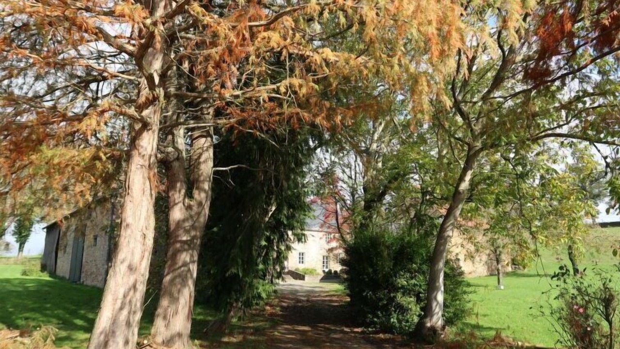 Photo of Outdoor in Saint-Ouen-La-Rouerie