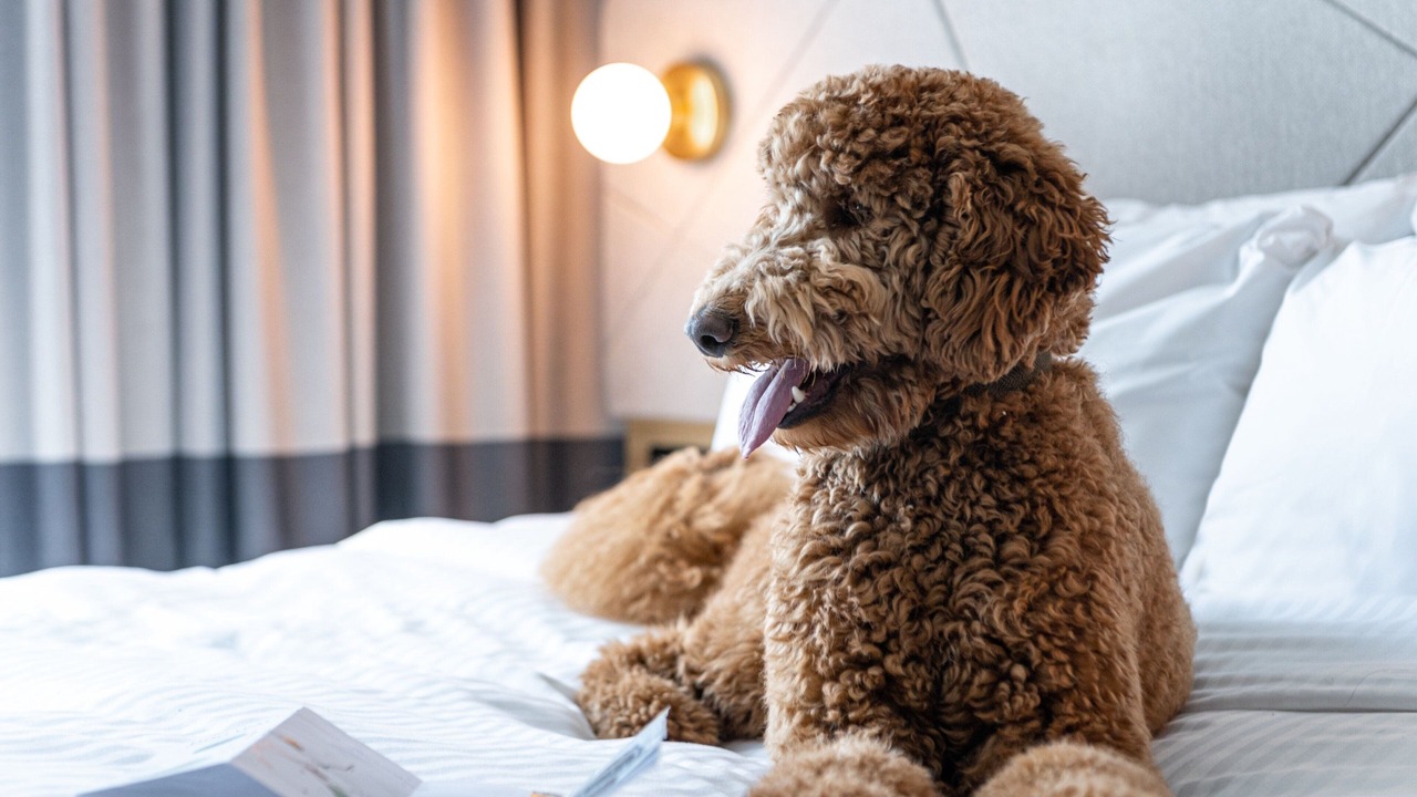 Photo of Others in Slough