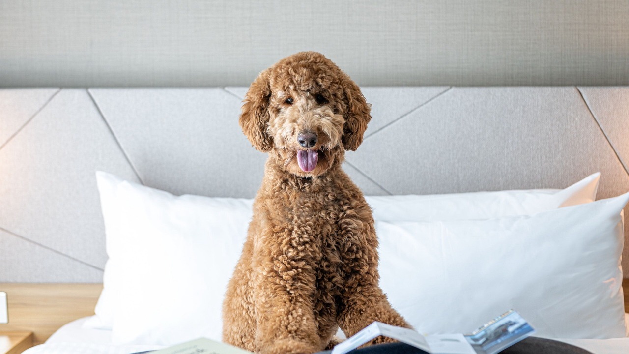 Photo of Others in Slough