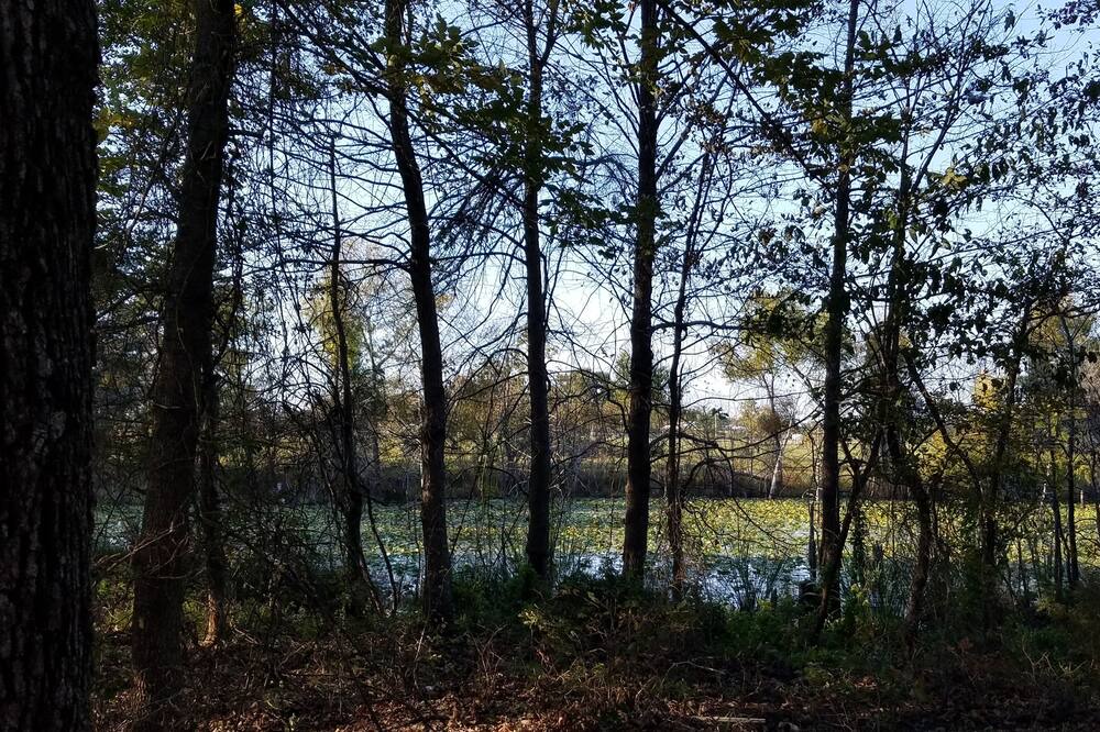 Photo of Outdoor in Antlers