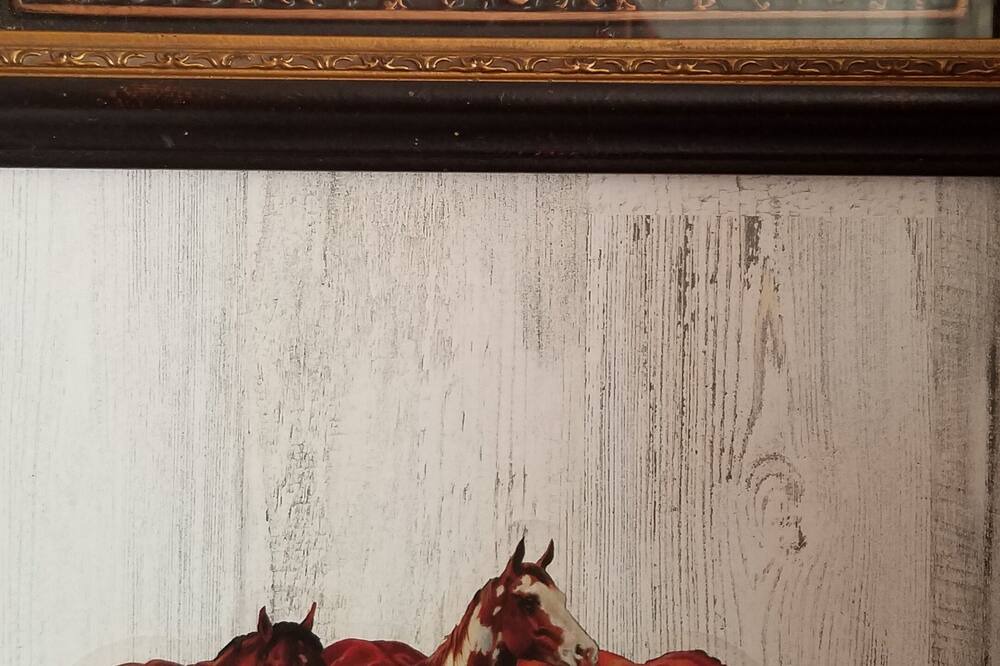 Photo of Others in Antlers