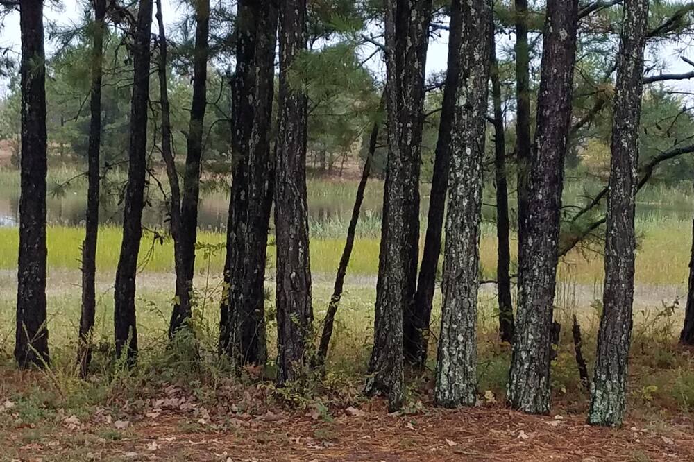 Photo of Outdoor in Antlers