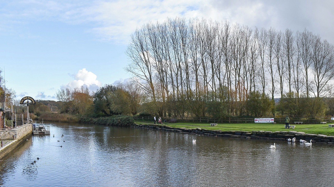 Photo of Others in Wareham