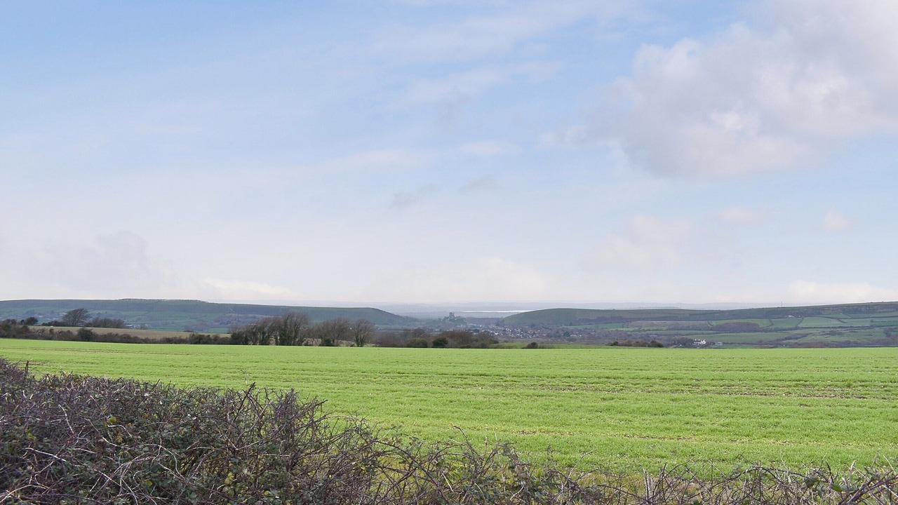 Photo of Others in Wareham