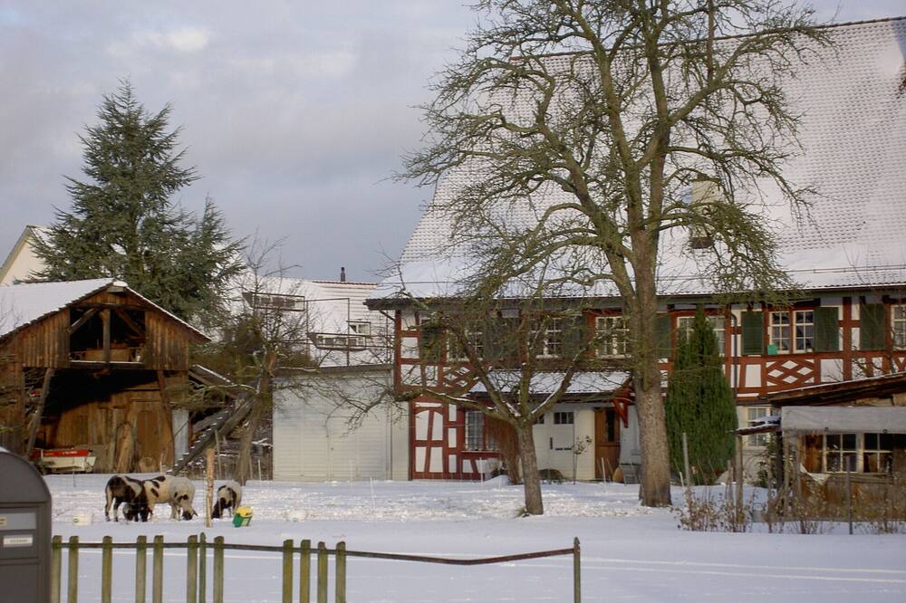 Photo of Outdoor in Ermatingen