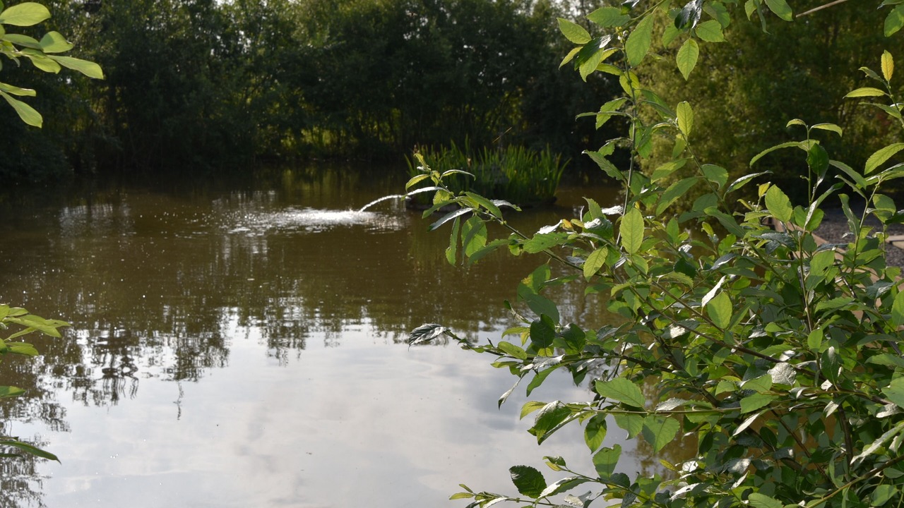 Photo of Others in Langrick