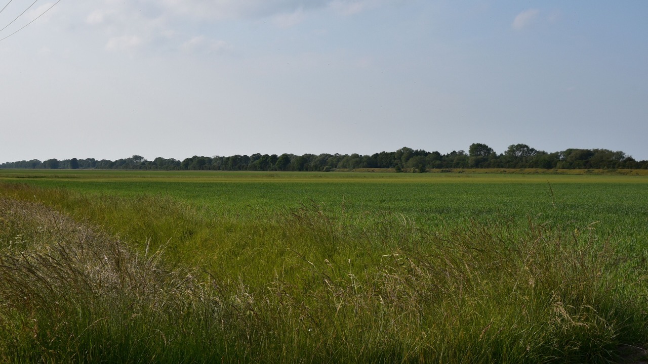 Photo of Others in Langrick