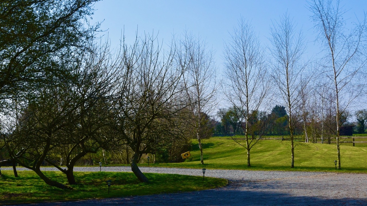 Photo of Others in Langrick