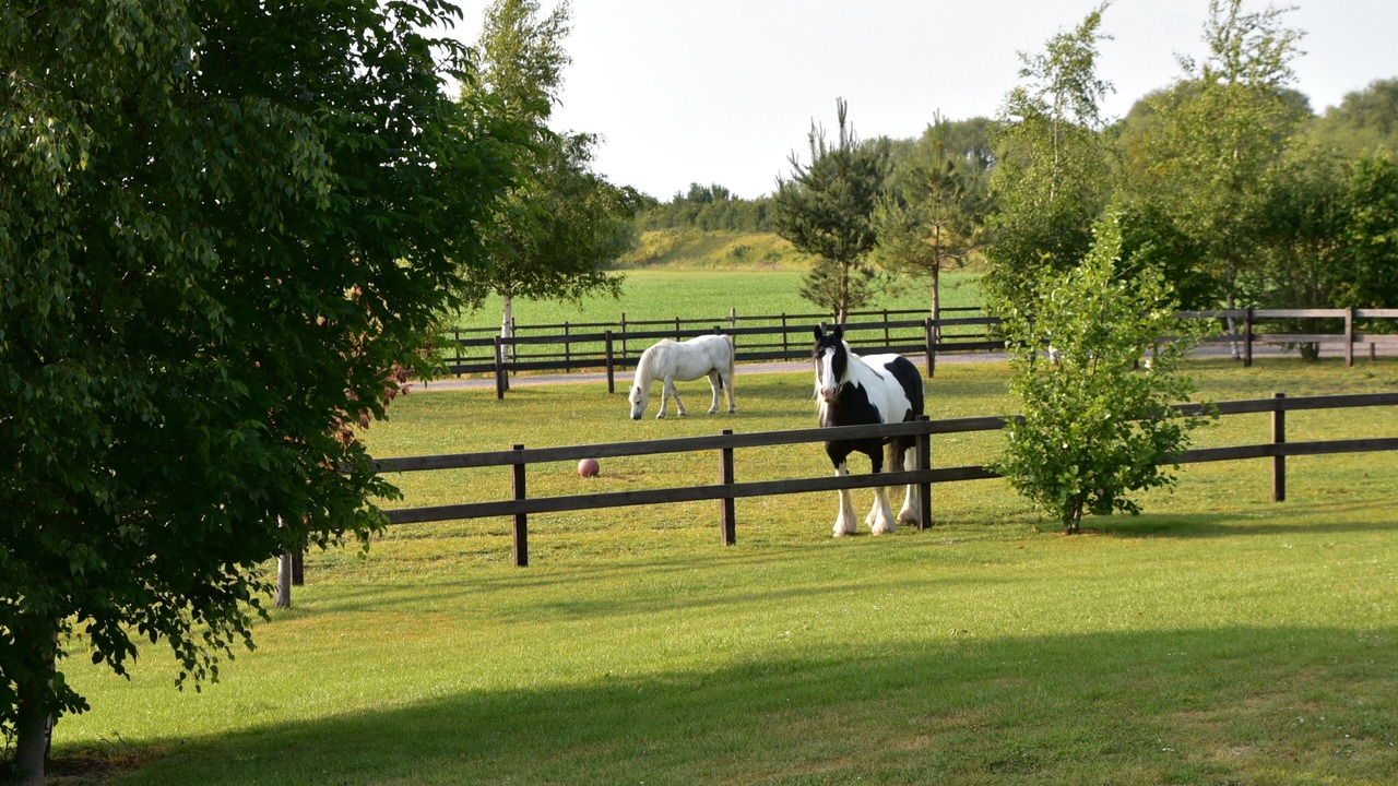 Photo of Others in Langrick