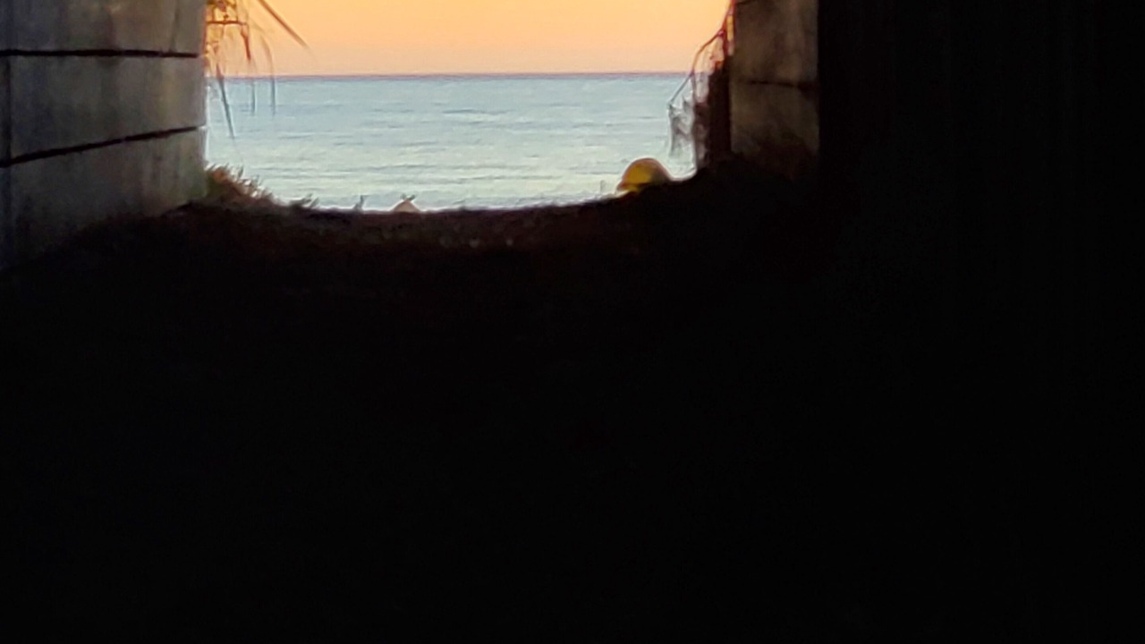 Photo of Others in Stinson Beach