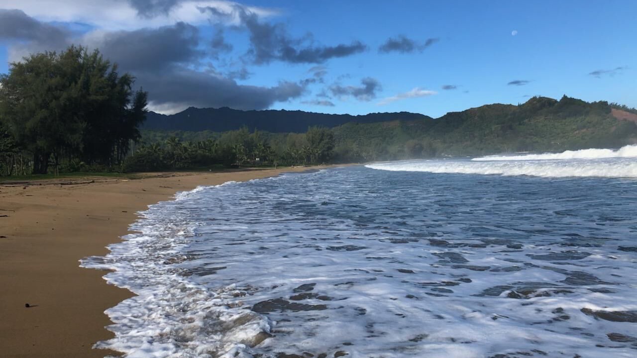 Photo of Others in Stinson Beach
