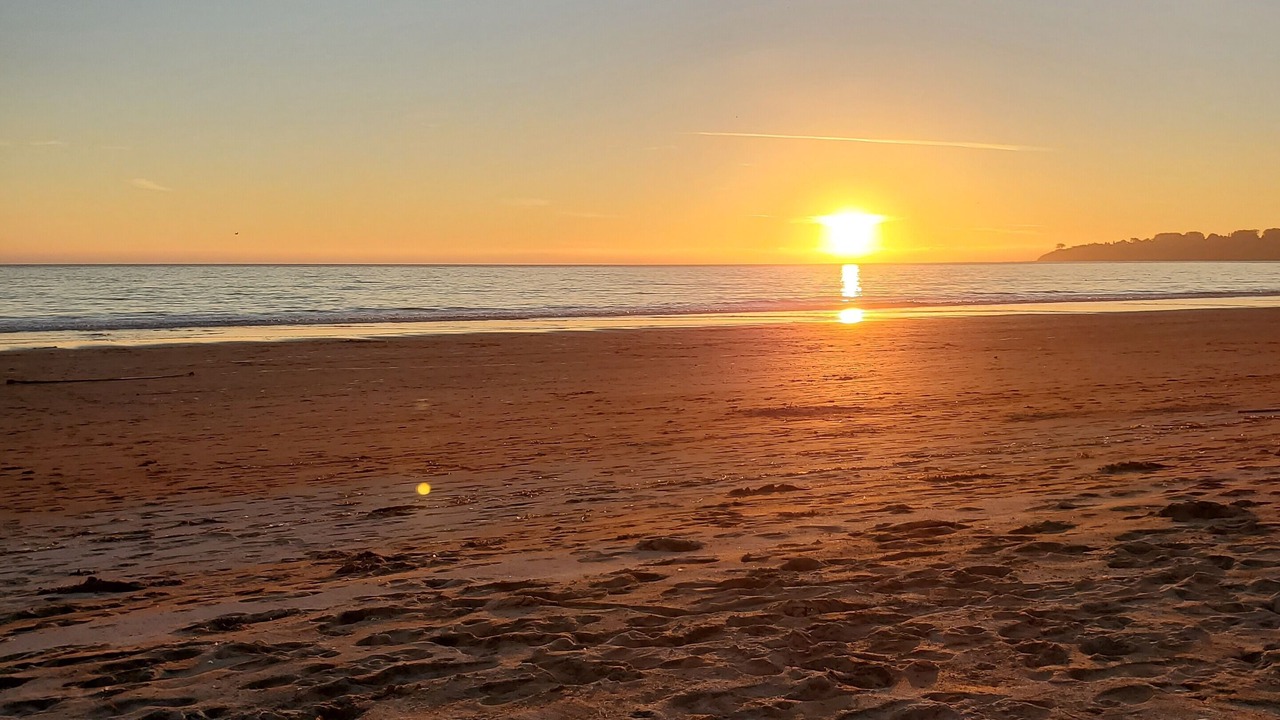 Photo of Others in Stinson Beach