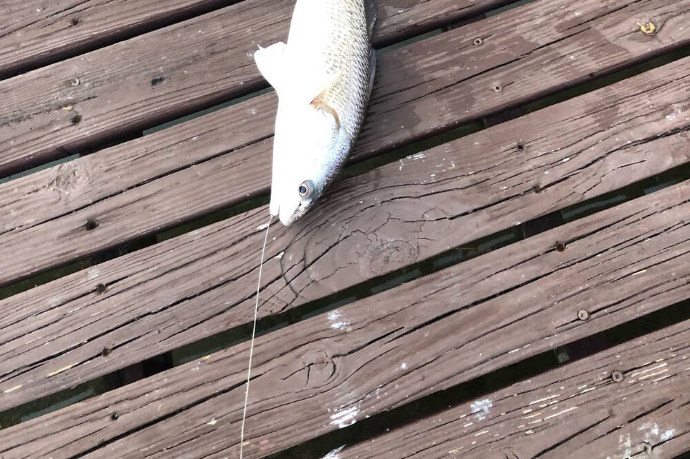 Photo of Others in Hudson Beach Estates