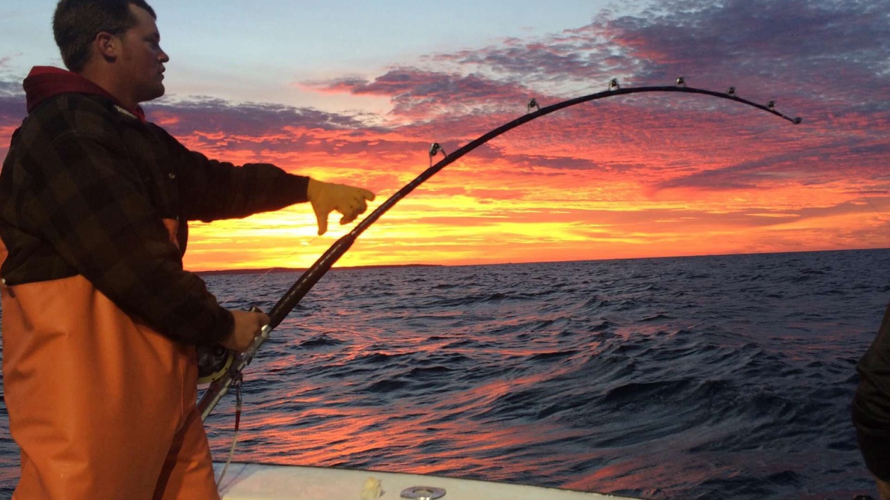 Photo of Bedroom in Newburyport