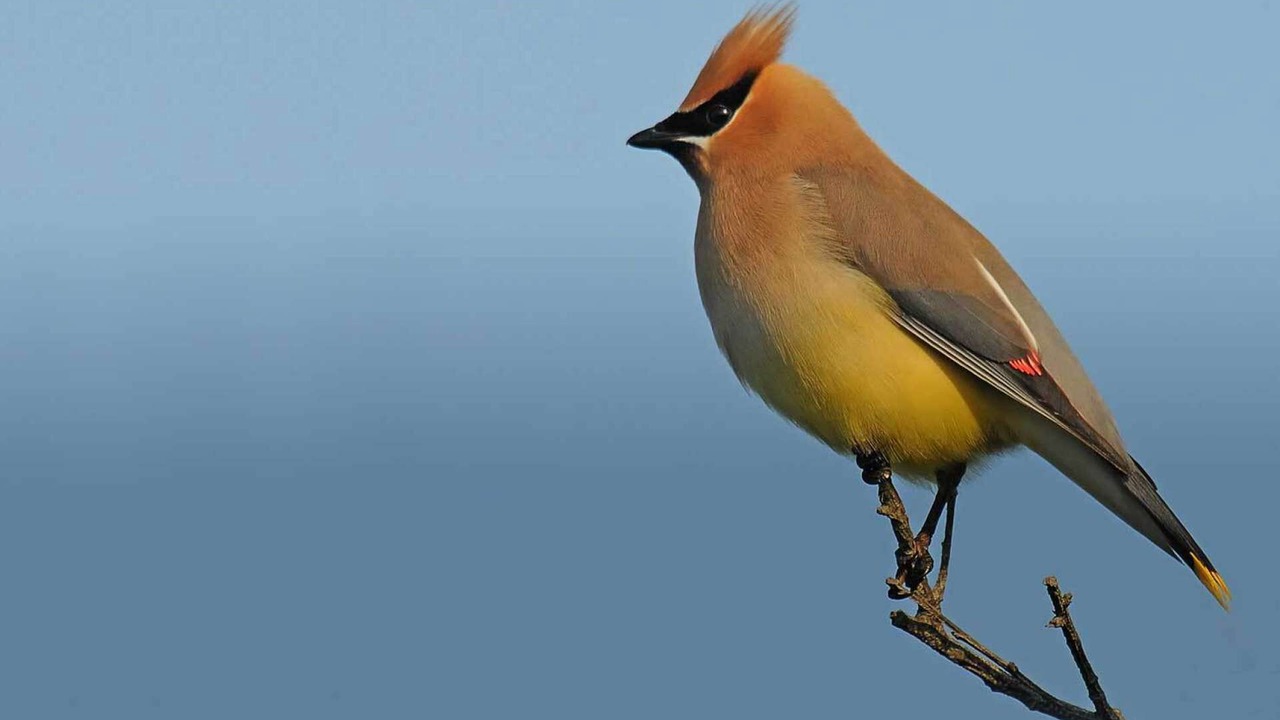 Photo of Bedroom in Newburyport