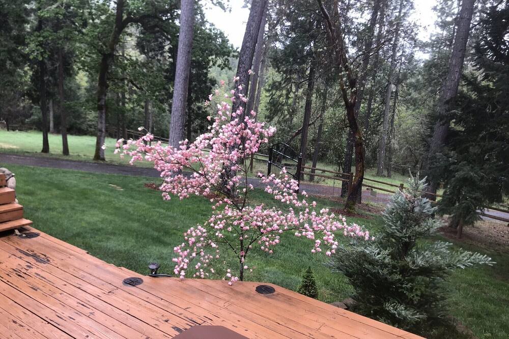 Photo of Outdoor in Grants Pass