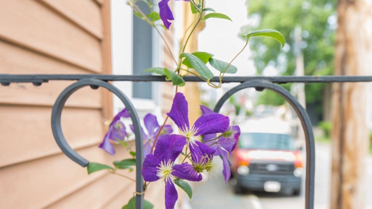 Photo of Outdoor in Marblehead
