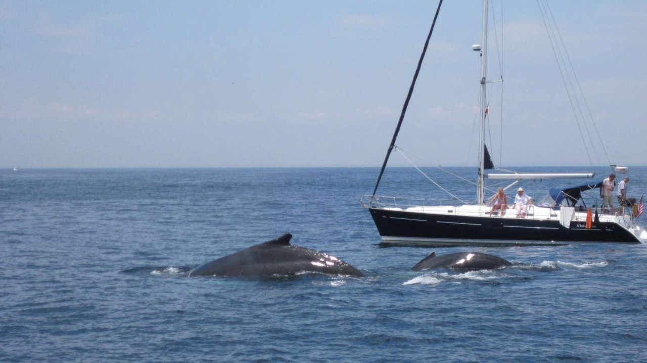 Photo of Outdoor in Marblehead
