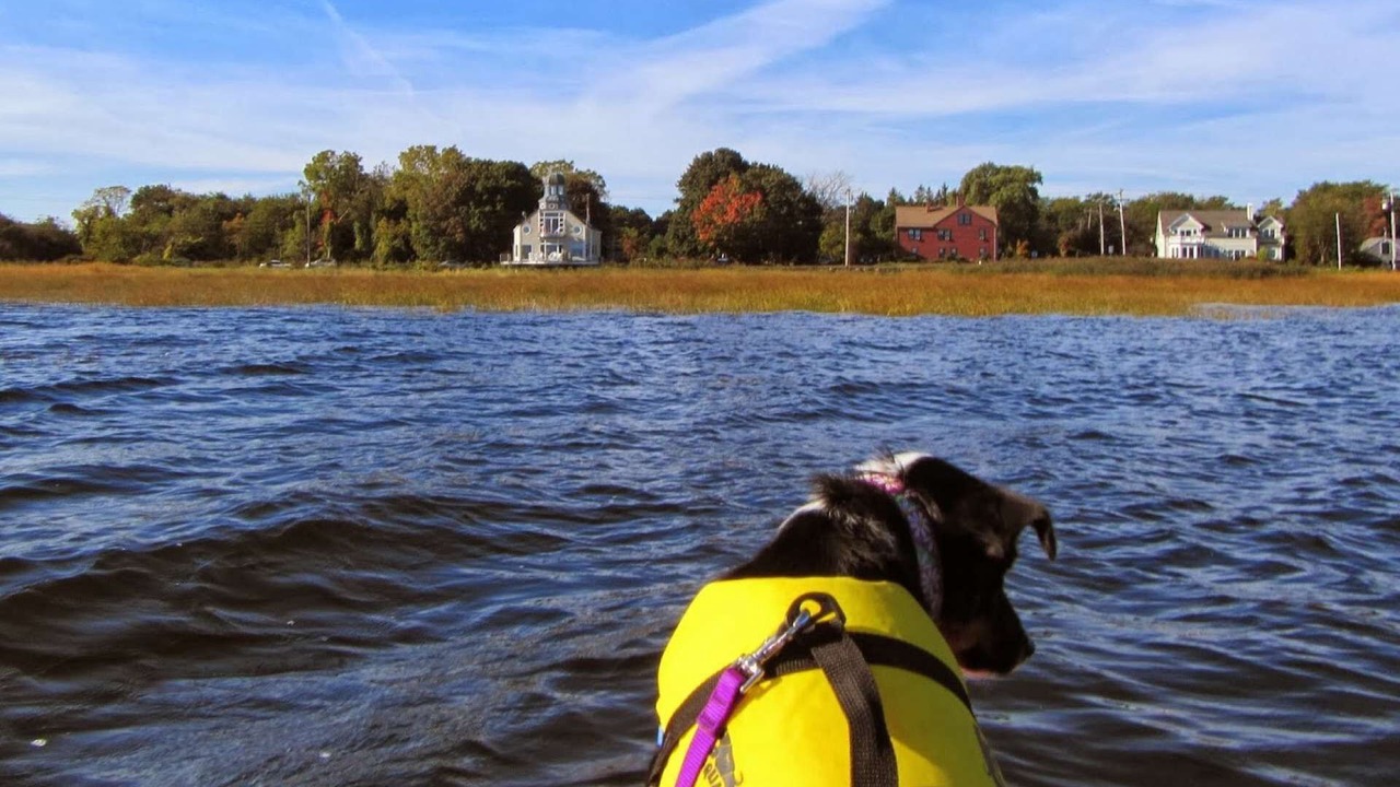 Photo of Outdoor in Newburyport