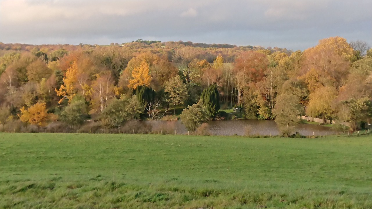 Photo of Others in Forsbrook