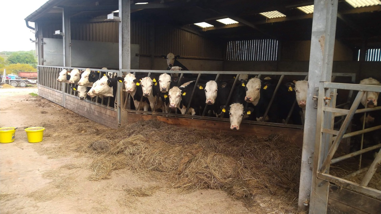 Photo of Others in Forsbrook