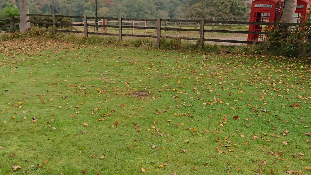 Photo of Others in Forsbrook