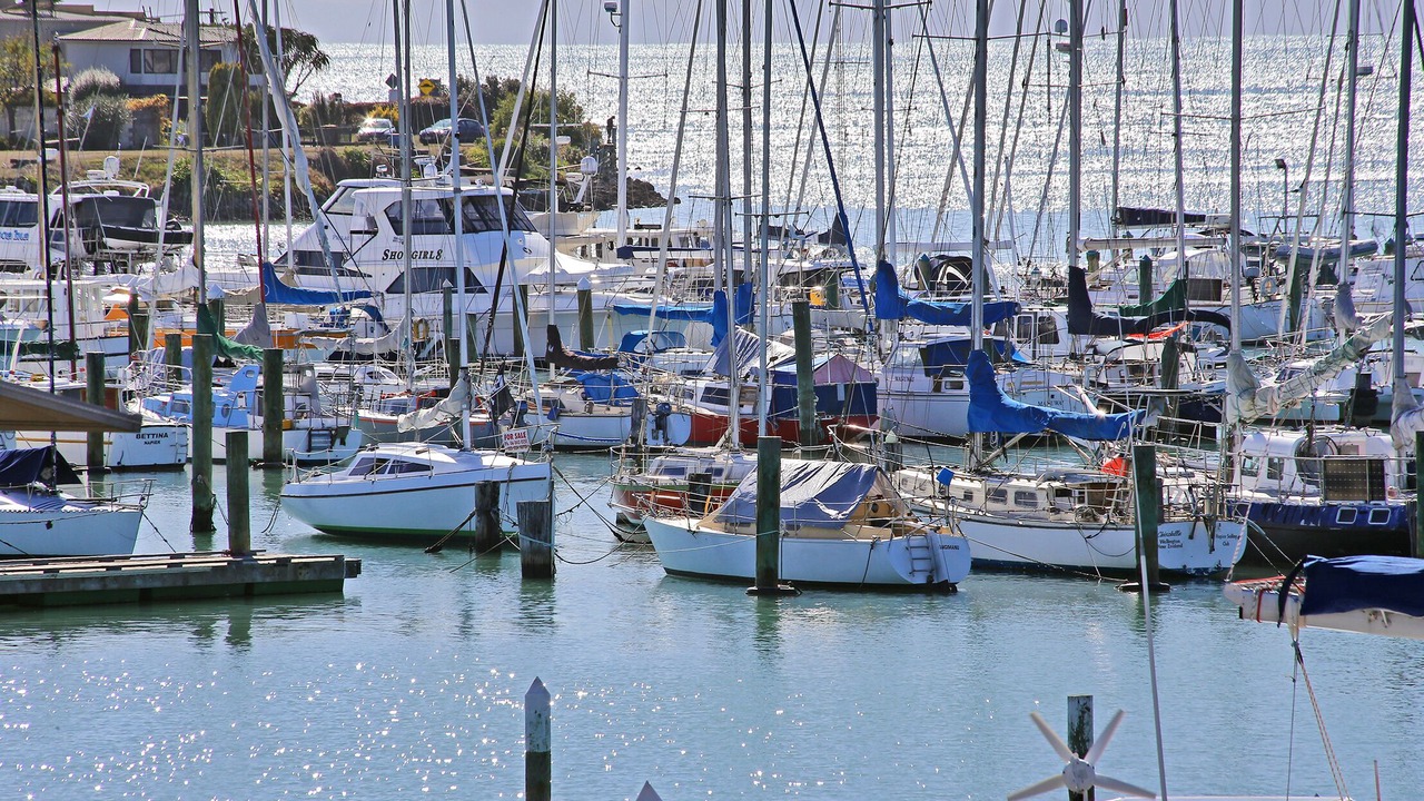 Photo of Others in Ahuriri