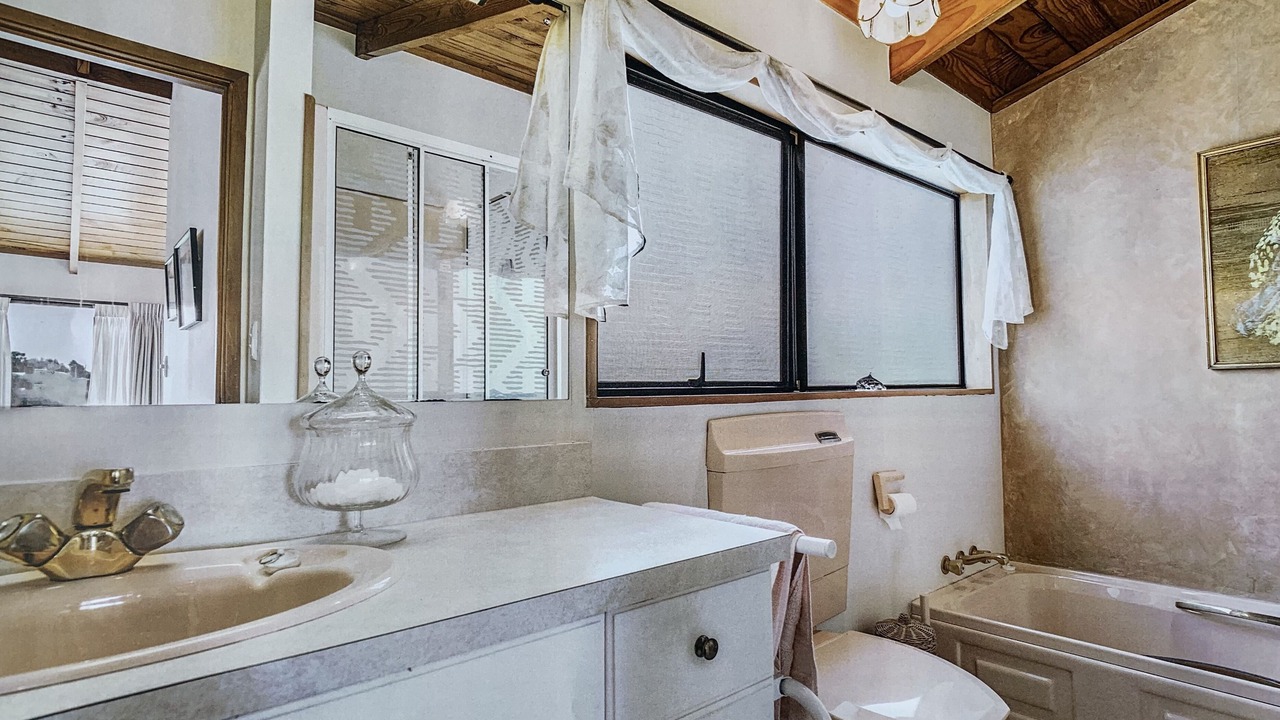 Photo of Others in Oneroa