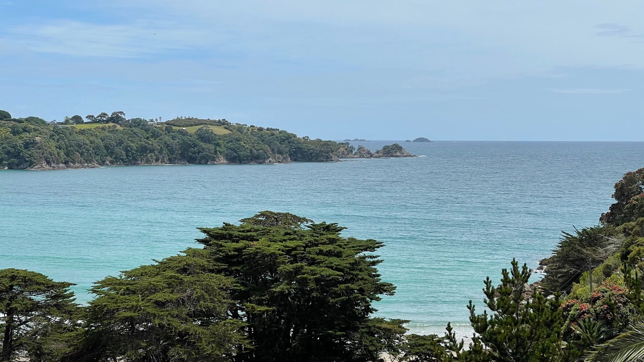 Photo of Others in Oneroa