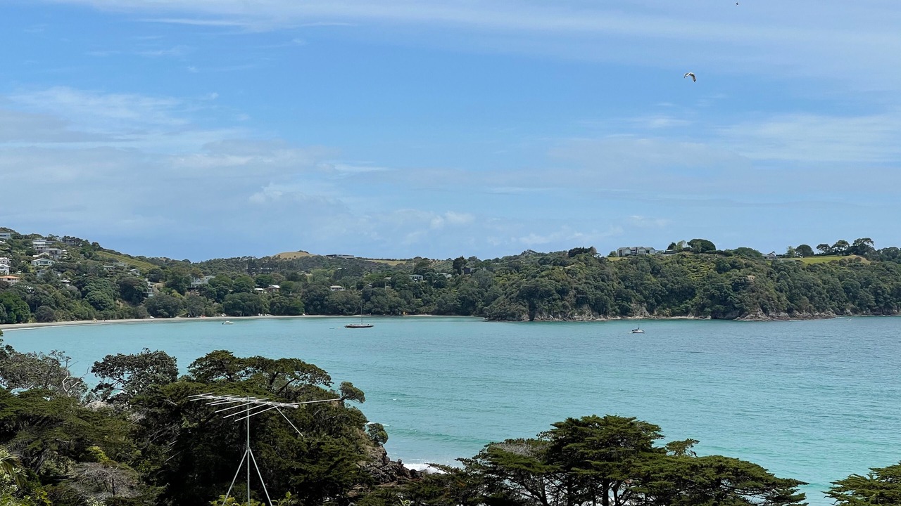 Photo of Others in Oneroa