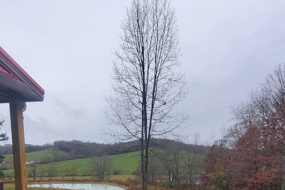 Photo of Outdoor in McArthur